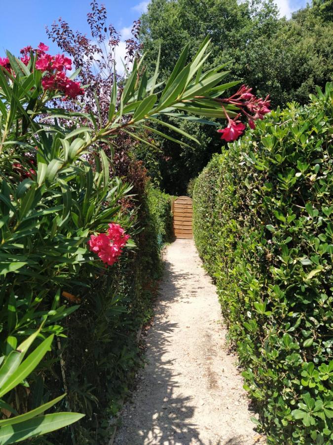 Studio French Riviera วิลล์เนิฟ-ลูเบ ภายนอก รูปภาพ